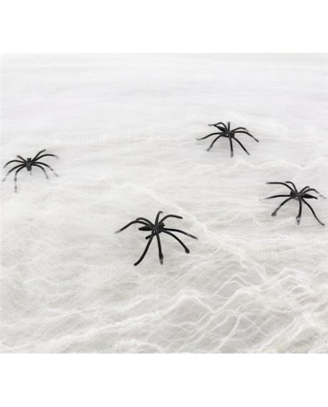 Biela Pavučina /P62