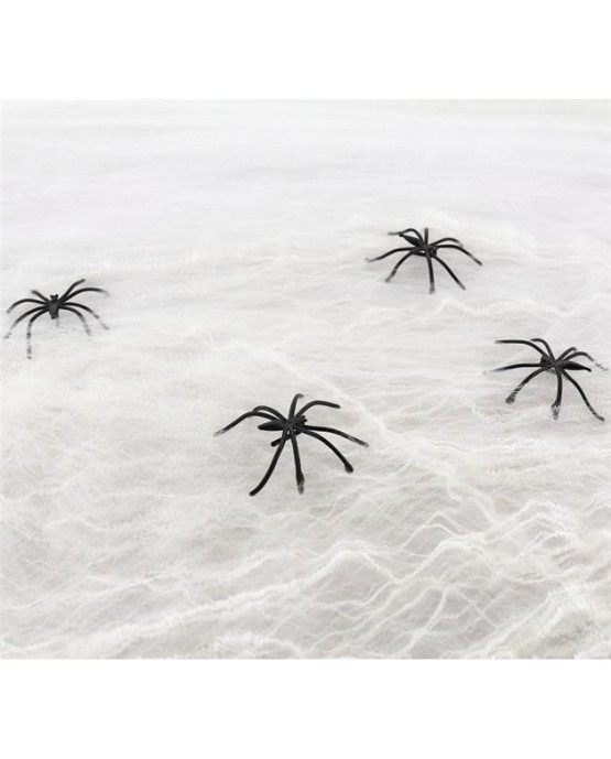 Biela Pavučina /P62