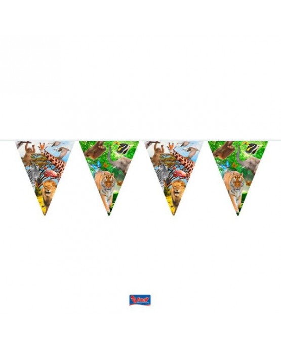 Baner Safari party