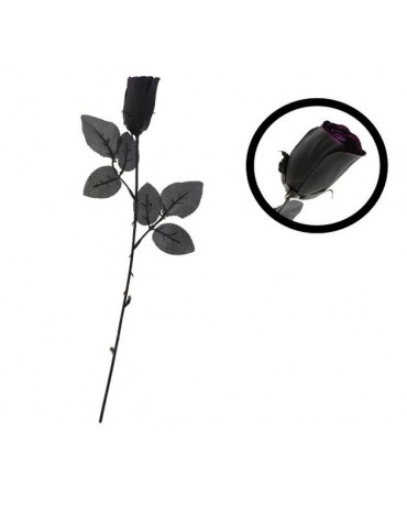 Čierna ruža 1ks