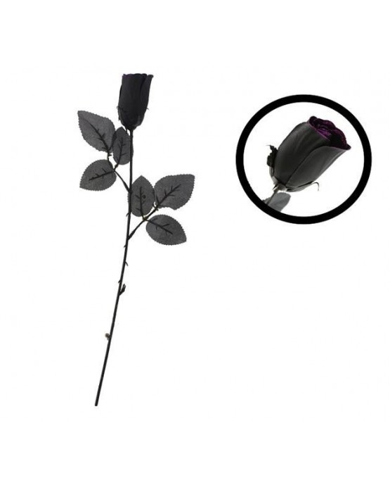 Čierna ruža 1ks