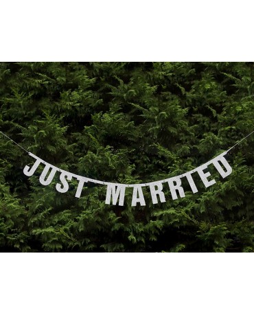 Banner Just Married -strieb. 18x170 cm