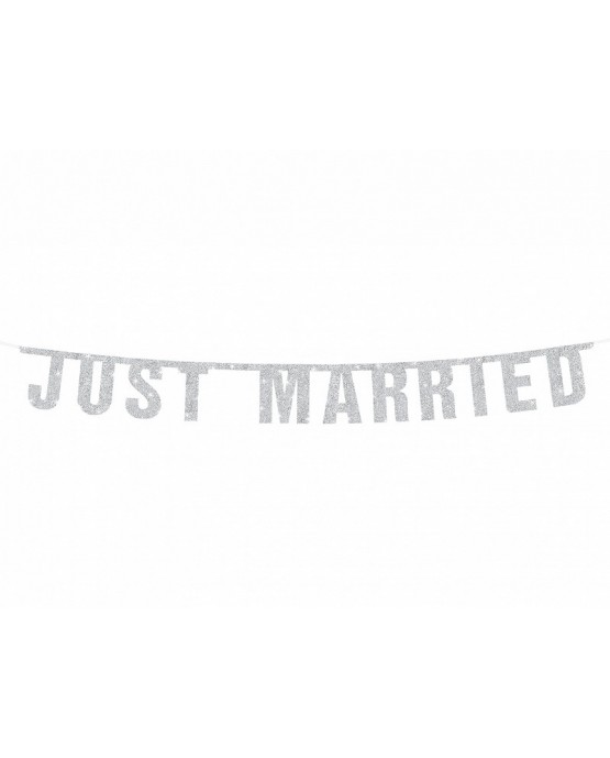 Banner Just Married -strieb. 18x170 cm