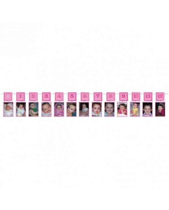 Fotogirlanda - ružová 3,65m