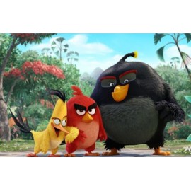 Angry birds
